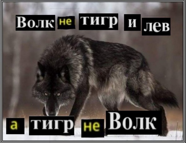 Мемы с цитатами волка