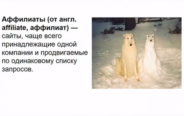 Аффиляция сайтов