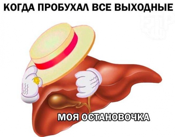 Моя остановочка