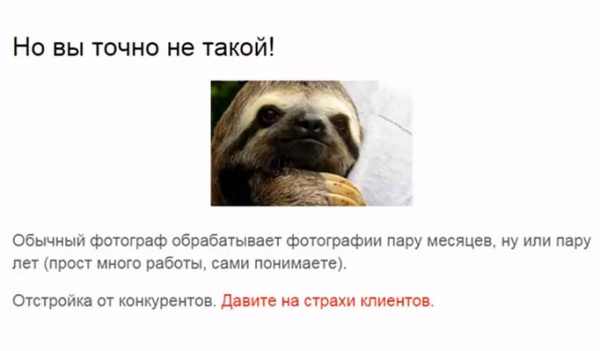 Продвижение сайта фотографа