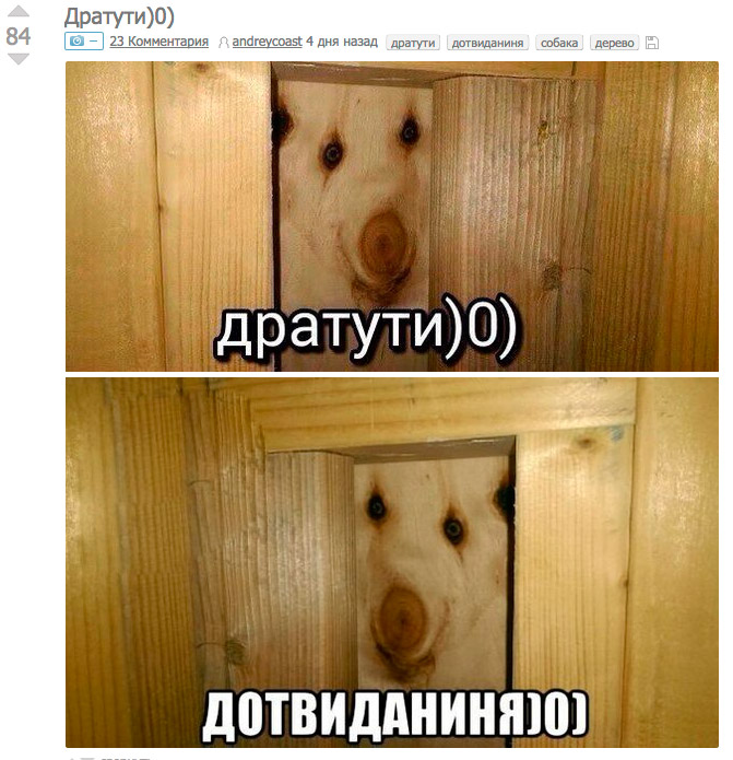 Дотвидания