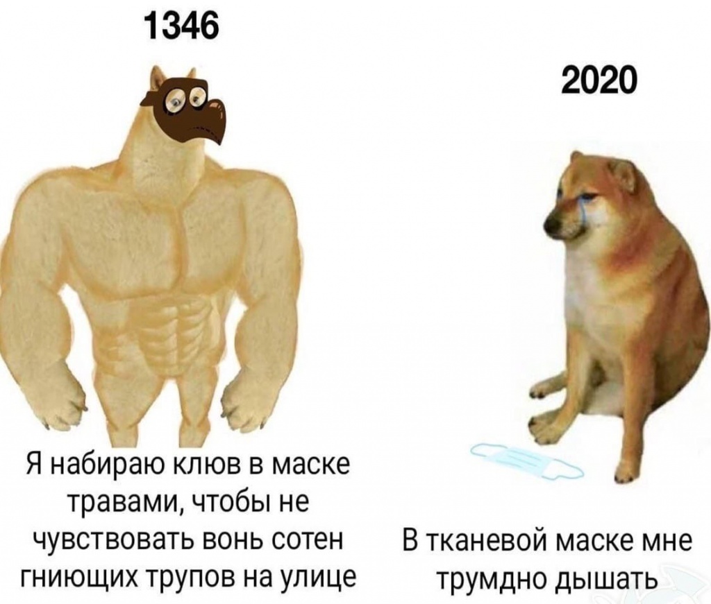 Мемы про ношение маски и коронавирус