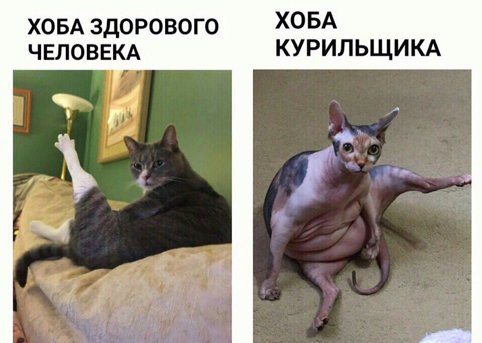 Хоба курильщика