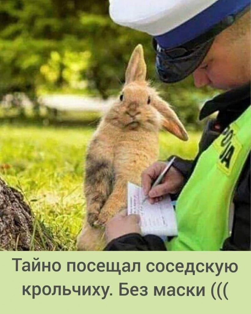 Мемы про ношение маски и коронавирус
