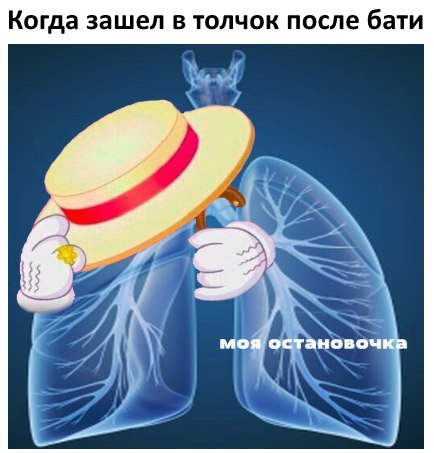 Моя остановочка