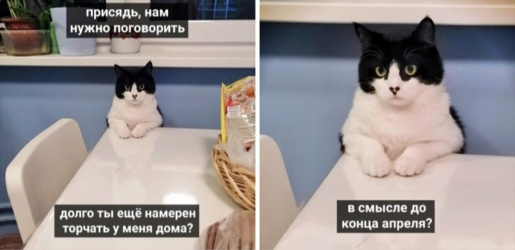 Мемы про самоизоляцию и каратин