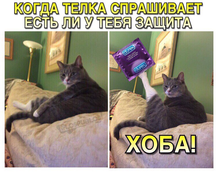 Вжух, и презервативы