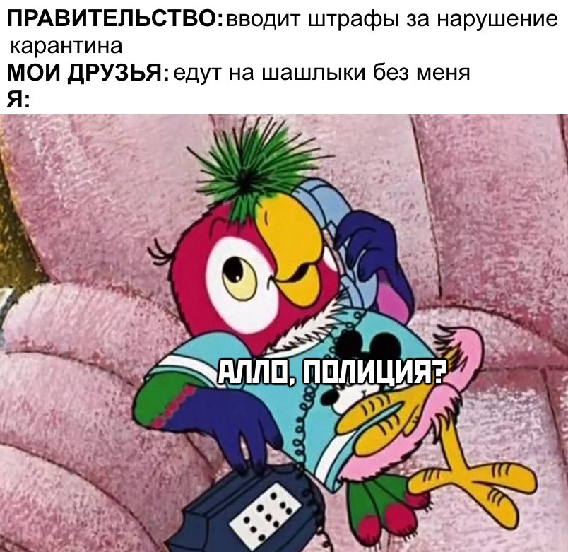 Мемы про самоизоляцию и каратин