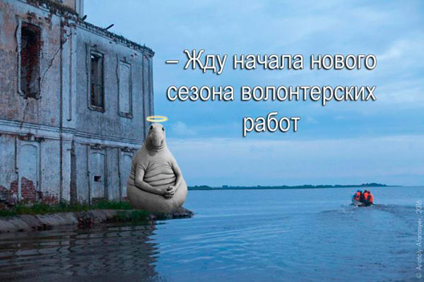 Ждун-волонтер