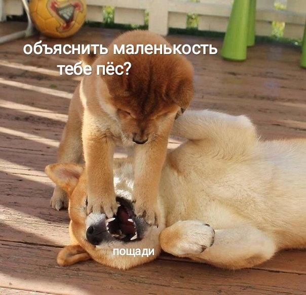Объясни свою маленькость