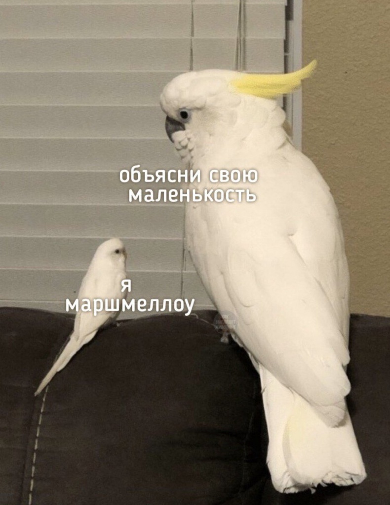 Объясни свою маленькость
