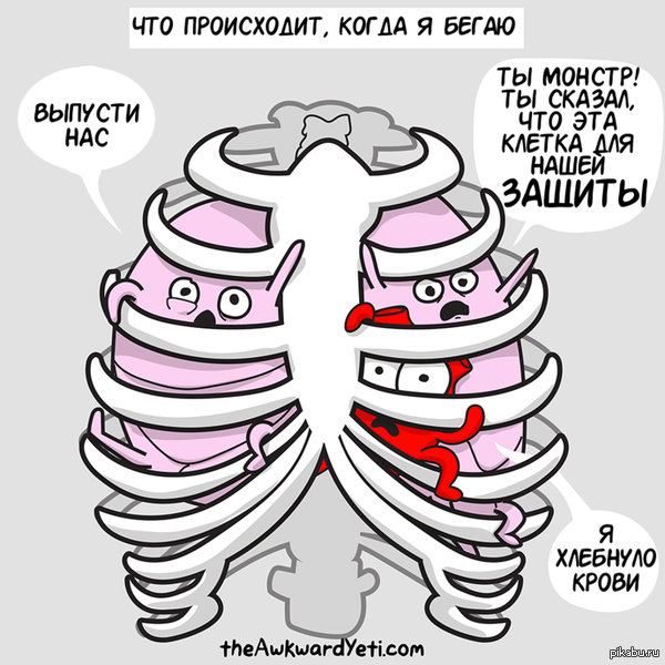 Про органы