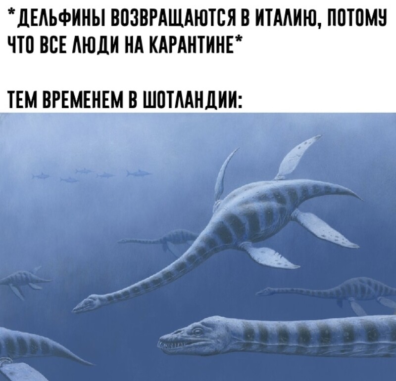 Мемы про самоизоляцию и каратин