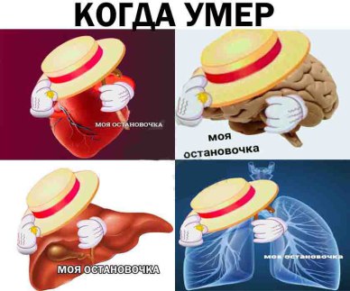 Моя остановочка