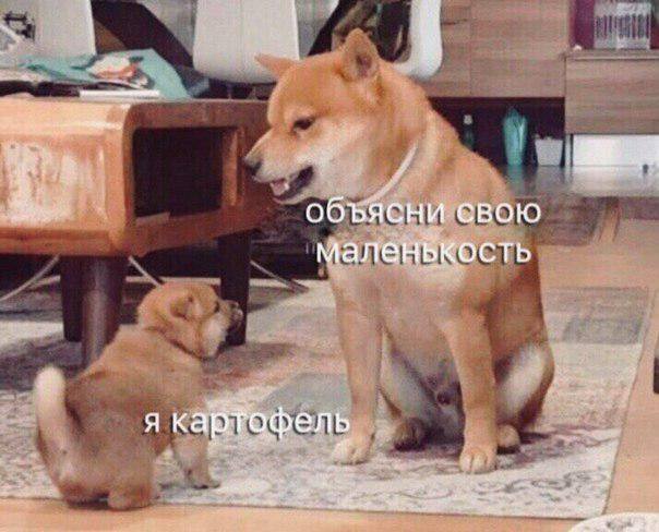 Объясни свою маленькость
