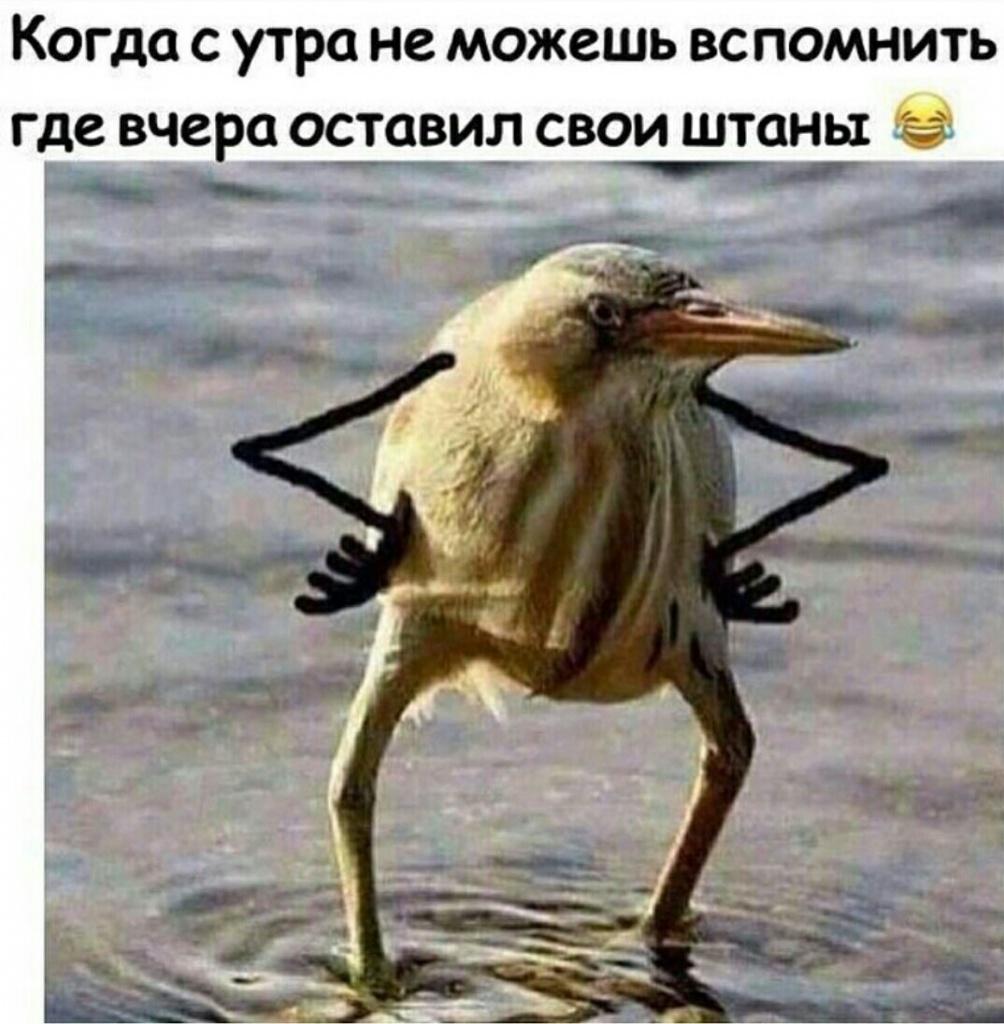 Так, Блэт