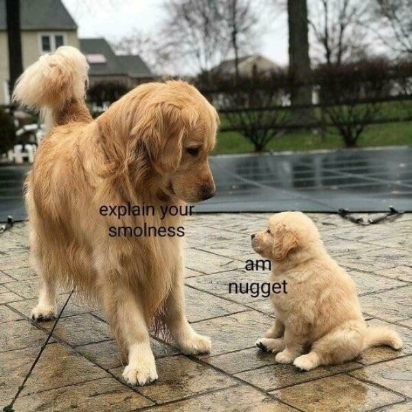 Объясни свою маленькость