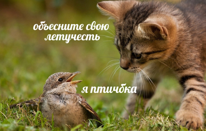 Объясни свою маленькость