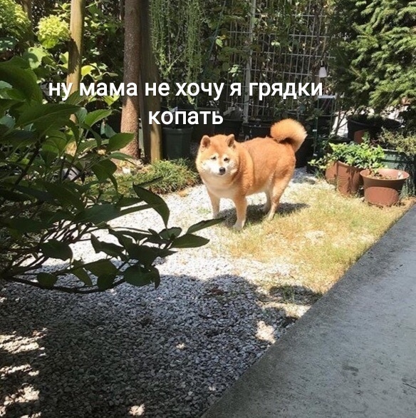 Объясни свою маленькость