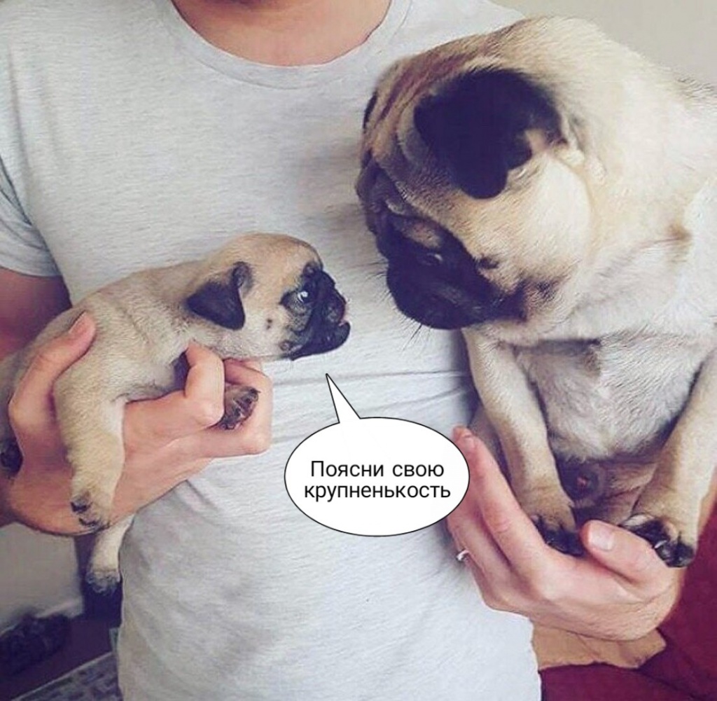 Объясни свою маленькость