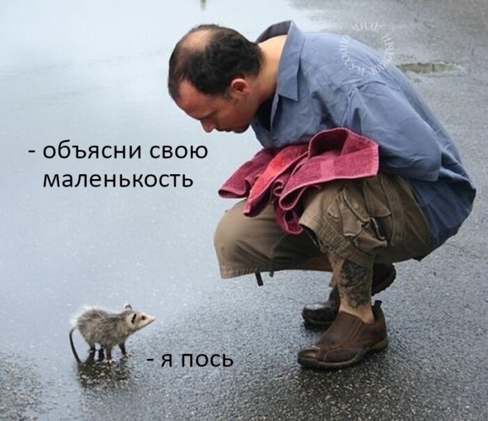 Объясни свою маленькость