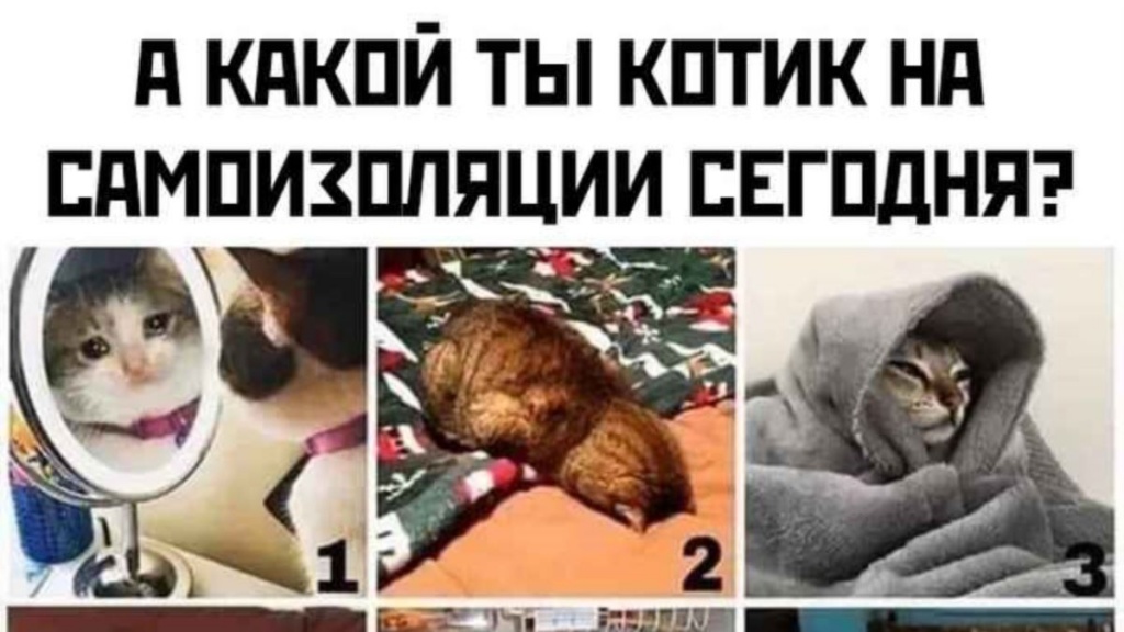 Мемы про самоизоляцию и каратин